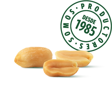 Maní tostado sin sal