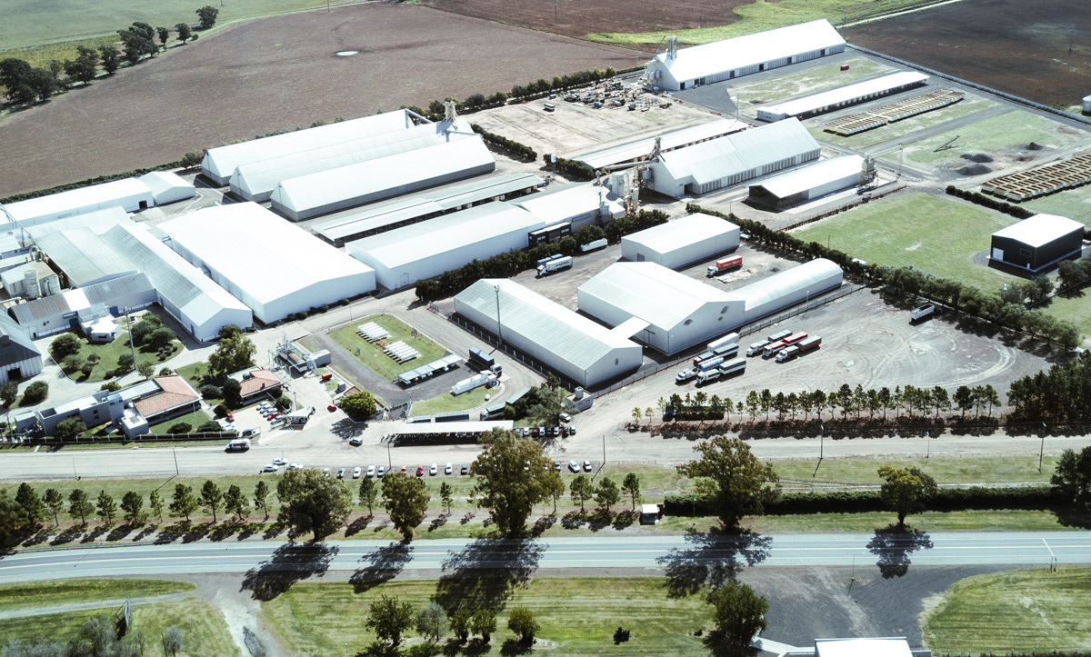 Innovación y produccción